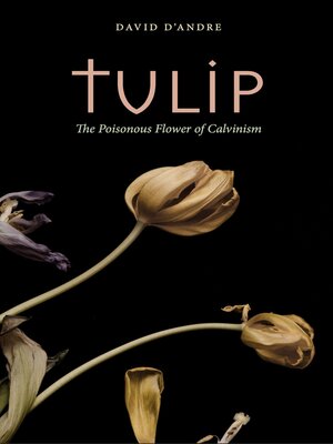 cover image of Tulip